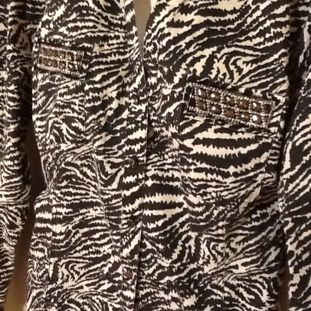 Cato Zebra striped